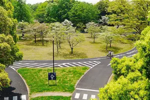 昭和記念公園　サイクリングロード